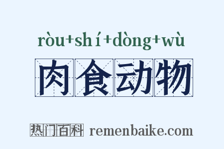 肉食动物是什么意思的图片